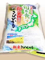 �ΐ쌧���\�o�Y�@�R�V�q�J��
