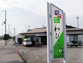 わびすけ