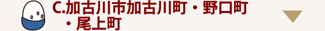 加古川市加古川町・野口町・尾上町