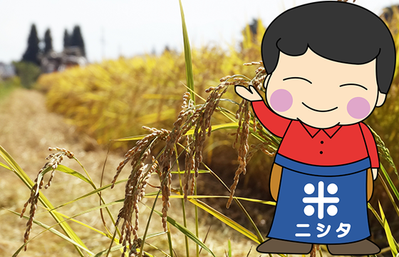 お米の産地 イメージ